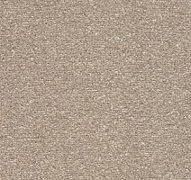 Ковролин AW Nectar 36 фото 1 | FLOORDEALER