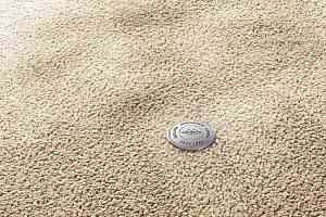 Ковролин Vorwerk Superior 1067 Mira Vorwerk 8k07 фото  | FLOORDEALER