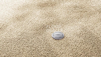 Ковролин Vorwerk Superior 1067 Mira Vorwerk 8k07 фото 1 | FLOORDEALER