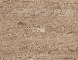 Kronotex Robusto 12мм d80722 Дуб Пустыни Серый фото 3 | FLOORDEALER