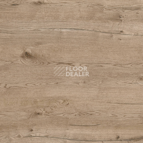 Kronotex Robusto 12мм d80722 Дуб Пустыни Серый фото 3 | FLOORDEALER