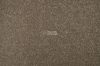 Mountain View 4398 фото 2 | FLOORDEALER