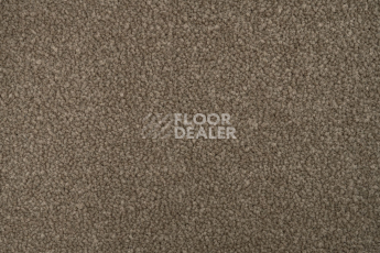 Standard Carpets Mountain View 4398 фото 2 | FLOORDEALER