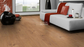 Kronotex Exquisit 8мм d3224 Дуб Атлас Натуральный фото 2 | FLOORDEALER