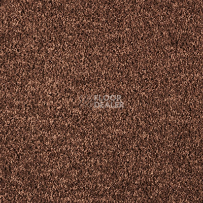 Ковролин AW Kiama 48 фото 1 | FLOORDEALER