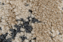 Innova Мираж q 500 01 фото 4 | FLOORDEALER