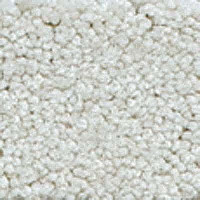 Ковролин Girloon Body1 821 фото 1 | FLOORDEALER