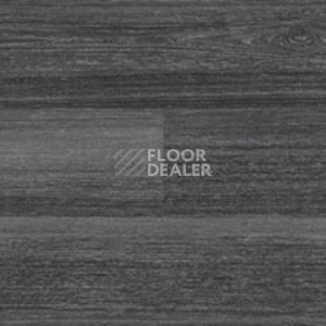 Линолеум Polyflor Expona Wood 6169 фото 1 | FLOORDEALER