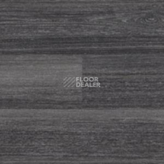 Линолеум Polyflor Expona Wood 6169 фото 1 | FLOORDEALER
