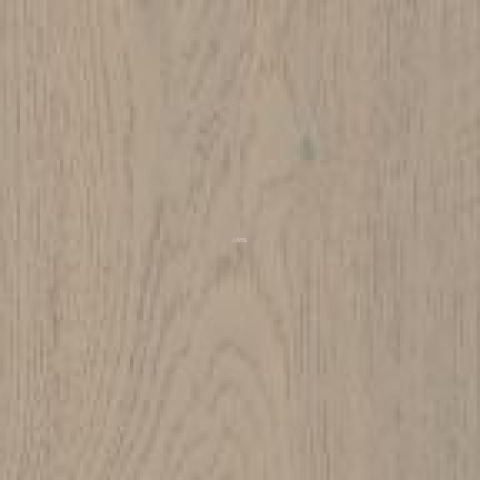Alpine Floor Studio Дуб Айвори Ew 200-03 фото 2 | FLOORDEALER