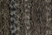 Coral Interior 1520 Desert Sand фото 3 | FLOORDEALER