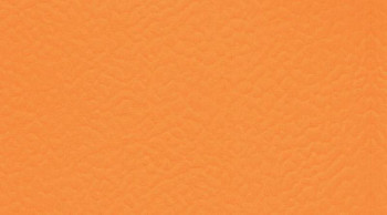 Recreation 60 Wood 6160_Naranja фото 1 | FLOORDEALER