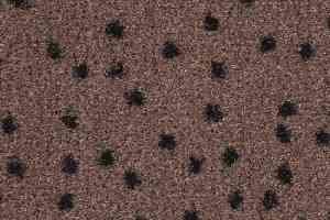 Ковролин Balsan Constellation 780 фото  | FLOORDEALER