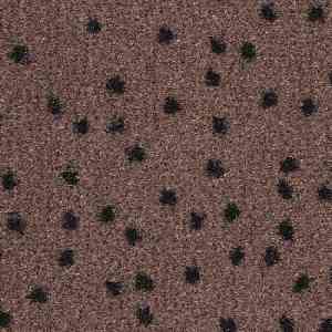 Ковролин Balsan Constellation 780 фото ##numphoto## | FLOORDEALER