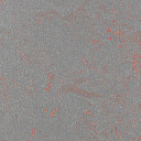 Линолеум Forbo Marmoleum Solid Concrete 3737-373735 red shimmer  | FLOORDEALER