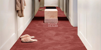 AW Superbe 14 фото 2 | FLOORDEALER