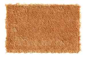 Ковролин Balta Wild Luxury Teddy 53 фото  | FLOORDEALER