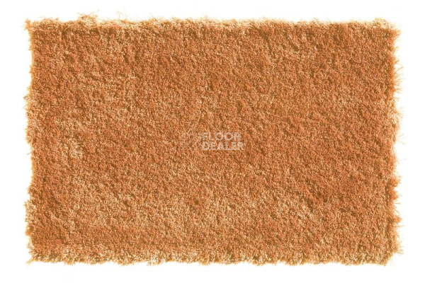 Ковролин Balta Wild Luxury Teddy 53 фото 1 | FLOORDEALER