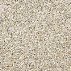 Ковролин AW Kiama 34 фото 1 | FLOORDEALER