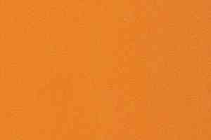 Ковролин Vorwerk Passion 1000/Modena Vorwerk 2d88 фото  | FLOORDEALER