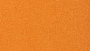 Ковролин Vorwerk Passion 1000/Modena Vorwerk 2d88 фото 1 | FLOORDEALER