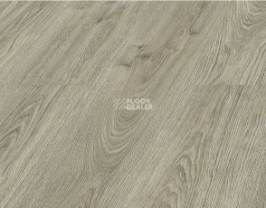 Kronopol Aurum Volo Aqua Zero d40034 Дуб Dove фото 2 | FLOORDEALER