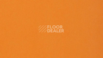Ковролин Vorwerk Passion 1000/Modena Vorwerk 2d88 фото 1 | FLOORDEALER