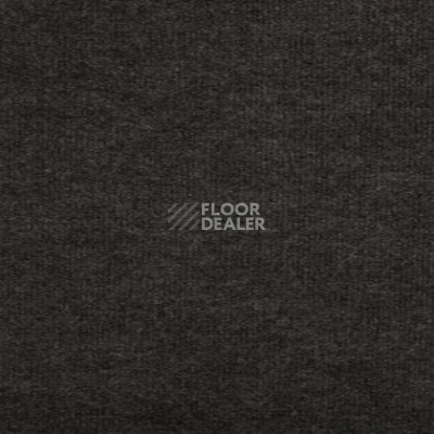 Ковролин Tapibel Bonanza 3500 фото 1 | FLOORDEALER