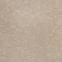 Линолеум Novoflor Extra Sparkle 2440-3 фото 1 | FLOORDEALER