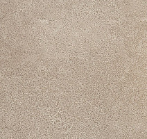 Линолеум Novoflor Extra Sparkle 2440-3 фото 1 | FLOORDEALER