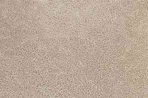 Линолеум Novoflor Extra Sparkle 2440-3 фото  | FLOORDEALER