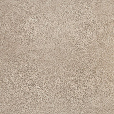 Линолеум Novoflor Extra Sparkle 2440-3 фото 1 | FLOORDEALER