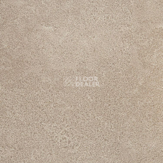 Линолеум Novoflor Extra Sparkle 2440-3 фото 1 | FLOORDEALER