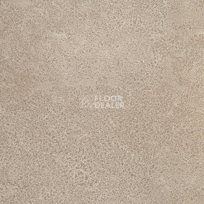 Линолеум Novoflor Extra Sparkle 2440-3 фото 1 | FLOORDEALER