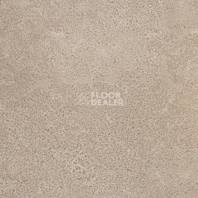 Линолеум Novoflor Extra Sparkle 2440-3 фото 1 | FLOORDEALER