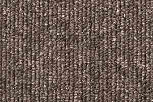 Ковролин Зартекс Daily 069 фото  | FLOORDEALER