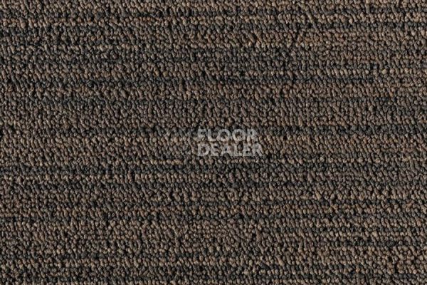 Ковровая плитка Tecsom 3550 Linear vision 00047 фото 1 | FLOORDEALER