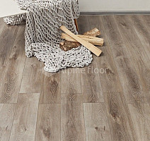 Alpine Floor Premium XL Дуб Грей Дождливый ECO 7-4 фото 3 | FLOORDEALER