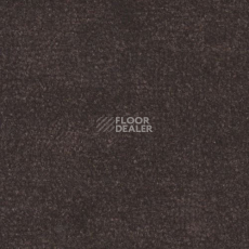 Ковролин Дюна Тафт Venetto 873 фото 1 | FLOORDEALER