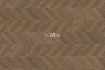 Haro Chevron 8мм 545181  Дуб Дымчатый Шеврон фото 1 | FLOORDEALER