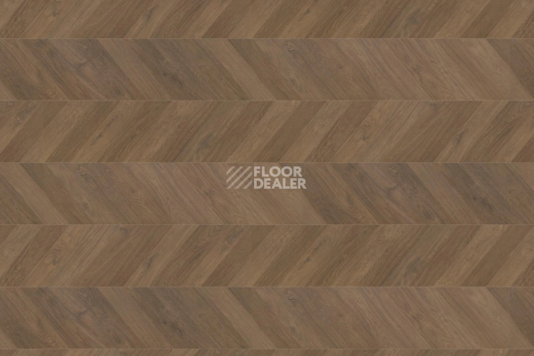 Ламинат Haro Chevron 8мм 545181  Дуб Дымчатый Шеврон фото 1 | FLOORDEALER