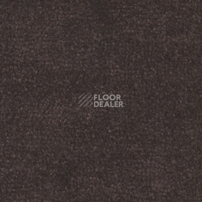 Ковролин Дюна Тафт Venetto 873 фото 1 | FLOORDEALER