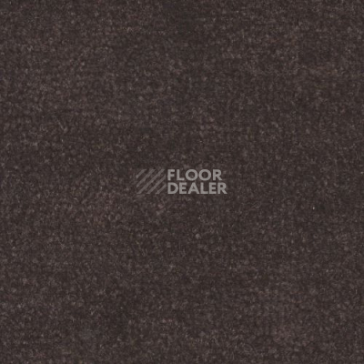 Ковролин Дюна Тафт Venetto 873 фото 1 | FLOORDEALER