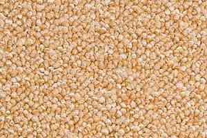 Ковровая плитка Modulyss Perpetual 221 фото  | FLOORDEALER