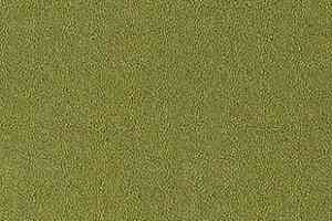 Ковролин Desso Asteranne 7063 фото  | FLOORDEALER