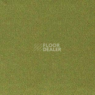 Ковролин Desso Asteranne 7063 фото 1 | FLOORDEALER