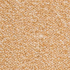 Ковровая плитка Modulyss Perpetual 221 фото 1 | FLOORDEALER