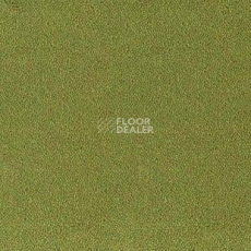 Ковролин Desso Asteranne 7063 фото 1 | FLOORDEALER