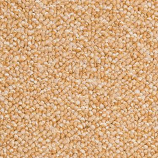 Modulyss Perpetual 221 фото 1 | FLOORDEALER