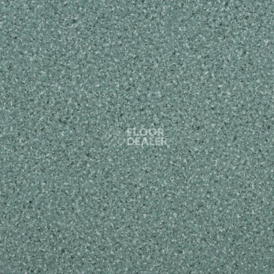 Линолеум Lg Durable DU90010 фото 1 | FLOORDEALER